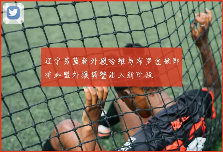 辽宁男篮新外援哈维与布罗金顿即将加盟外援调整进入新阶段