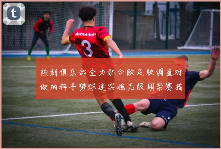 热刺俱乐部全力配合欧足联调查对做纳粹手势球迷实施无限期禁赛措施